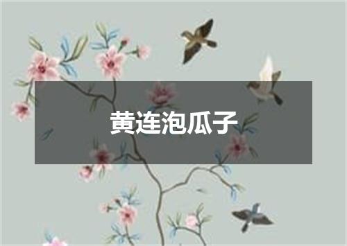 黄连泡瓜子