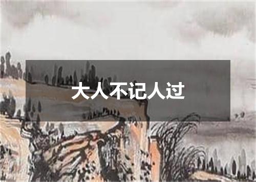 大人不记人过