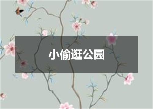小偷逛公园
