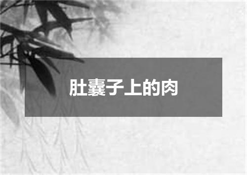 肚囊子上的肉