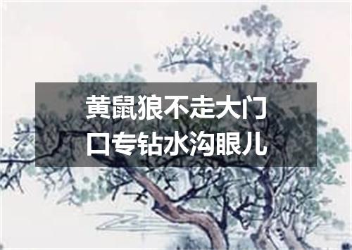 黄鼠狼不走大门口专钻水沟眼儿