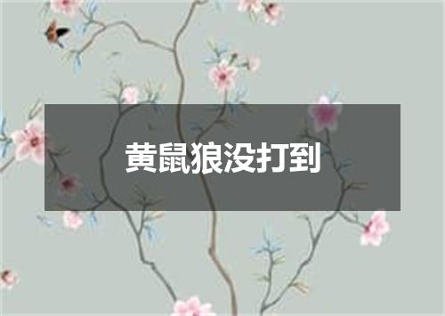 黄鼠狼没打到