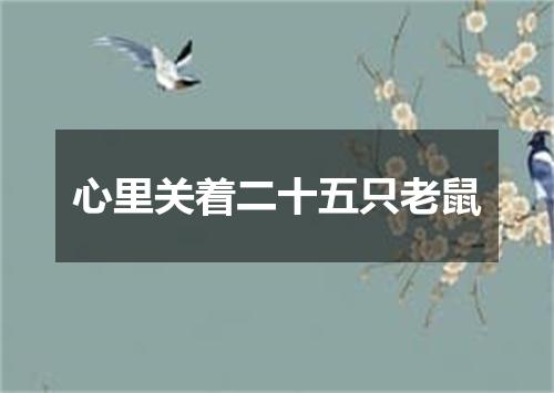心里关着二十五只老鼠