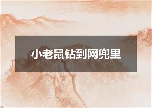小老鼠钻到网兜里