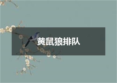 黄鼠狼排队