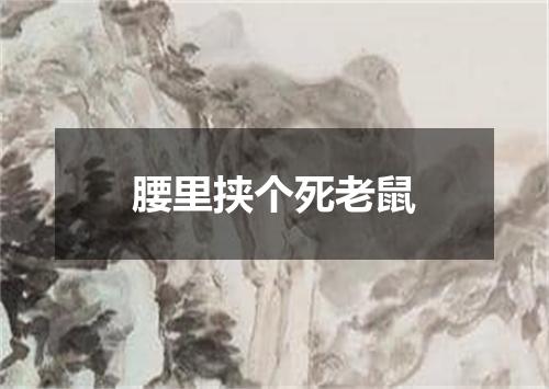 腰里挟个死老鼠