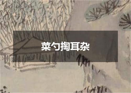 菜勺掏耳杂