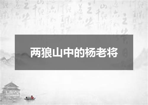 两狼山中的杨老将