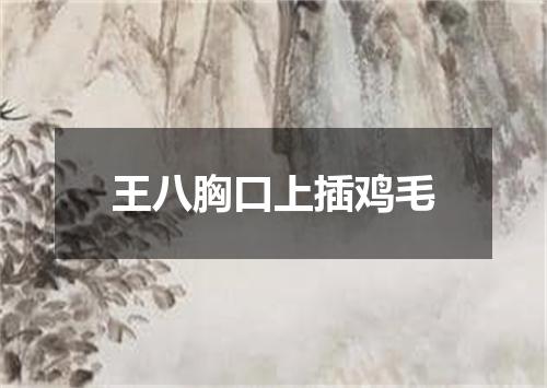 王八胸口上插鸡毛
