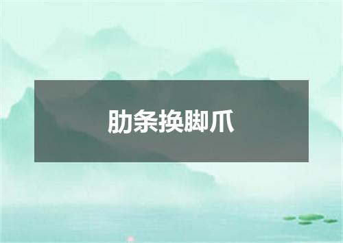 肋条换脚爪
