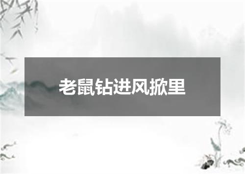 老鼠钻进风掀里