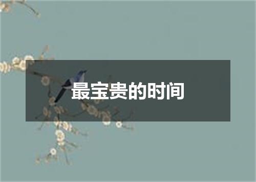 最宝贵的时间