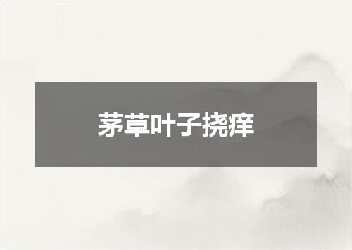 茅草叶子挠痒