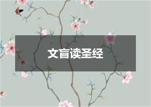 文盲读圣经