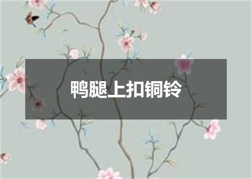鸭腿上扣铜铃