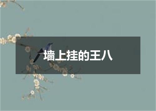 墙上挂的王八