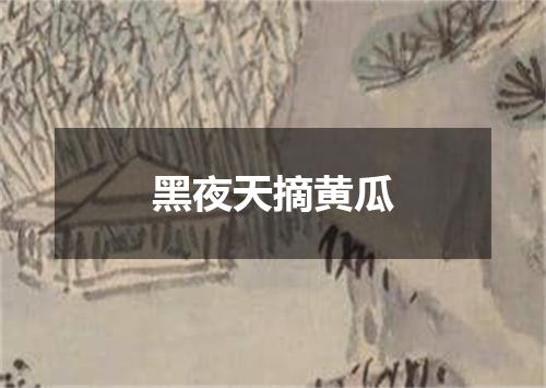 黑夜天摘黄瓜
