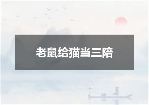 老鼠给猫当三陪