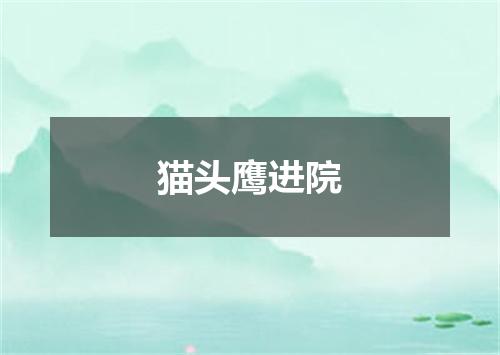 猫头鹰进院