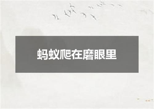 蚂蚁爬在磨眼里