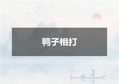 鸭子相打
