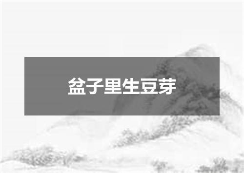 盆子里生豆芽
