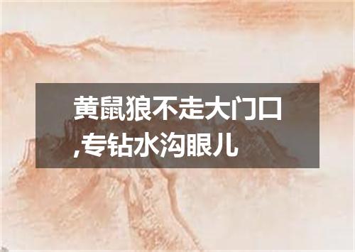 黄鼠狼不走大门口,专钻水沟眼儿