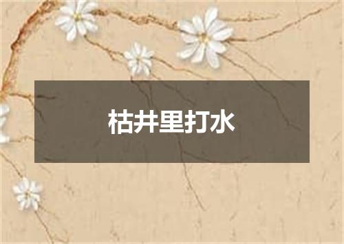 枯井里打水