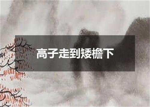 高子走到矮檐下