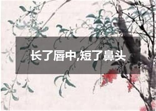 长了唇中,短了鼻头