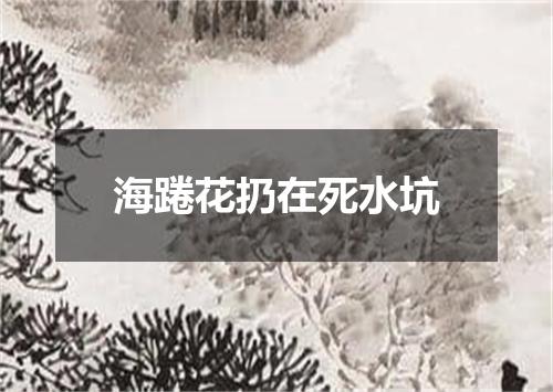 海踡花扔在死水坑