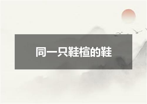 同一只鞋楦的鞋