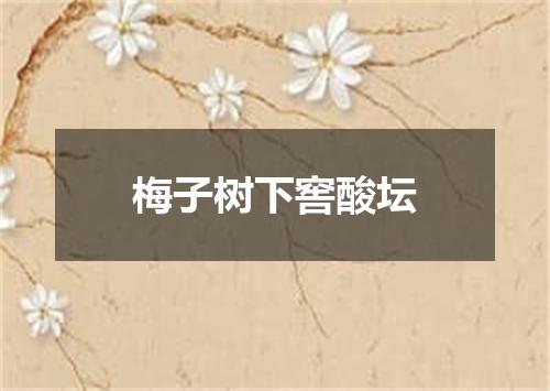 梅子树下窖酸坛