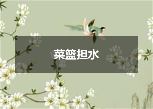 菜篮担水