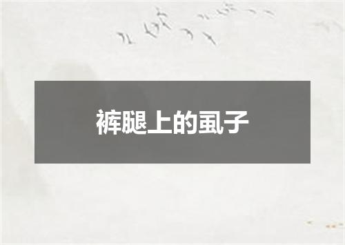 裤腿上的虱子