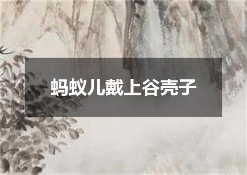 蚂蚁儿戴上谷壳子