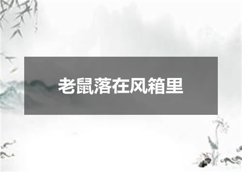 老鼠落在风箱里