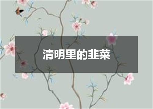 清明里的韭菜