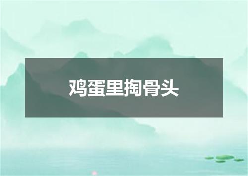 鸡蛋里掏骨头