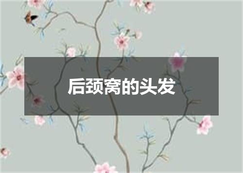 后颈窝的头发