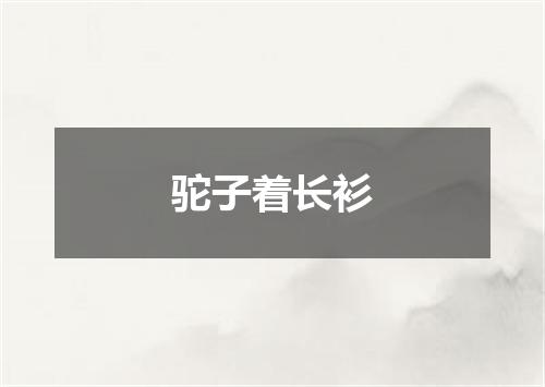 驼子着长衫