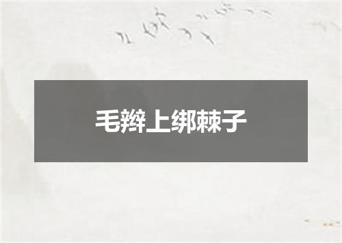毛辫上绑棘子