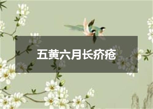 五黄六月长疥疮