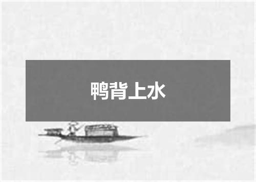 鸭背上水