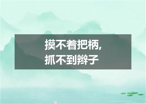 摸不着把柄,抓不到辫子