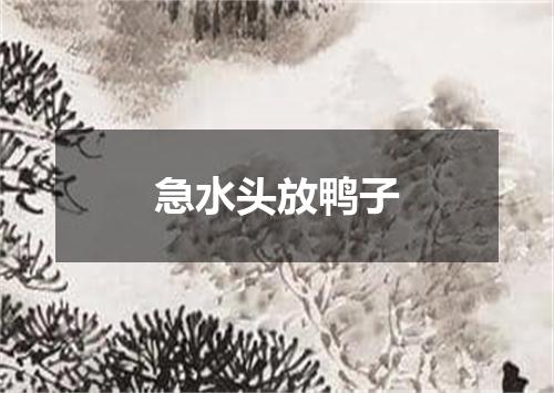 急水头放鸭子