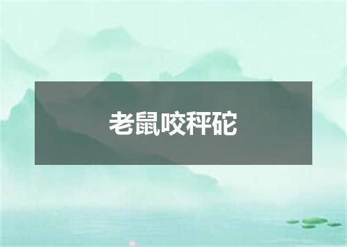 老鼠咬秤砣