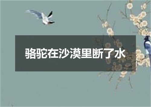 骆驼在沙漠里断了水