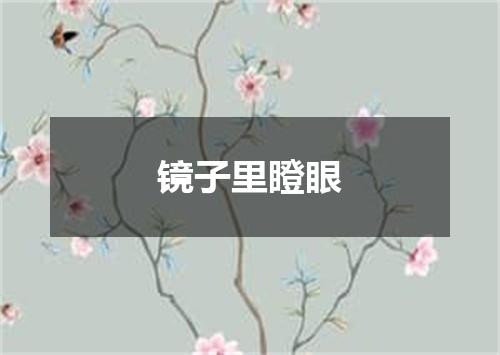 镜子里瞪眼
