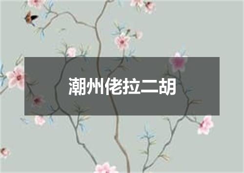 潮州佬拉二胡